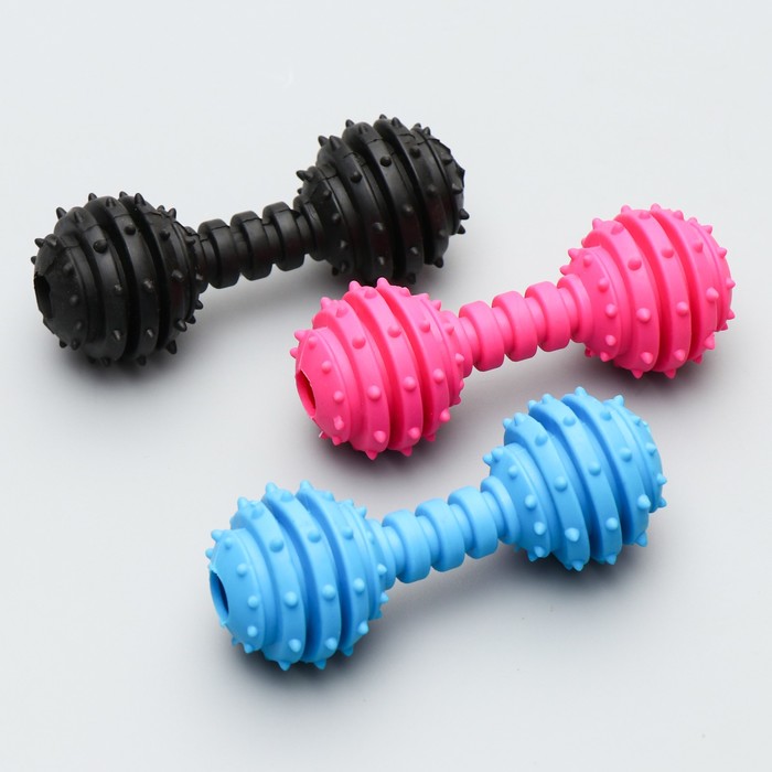 Игрушка жевательная "Чемпион", TPR, 12,5 см, микс цветов