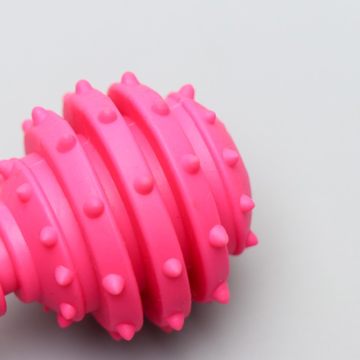 Игрушка жевательная "Чемпион", TPR, 12,5 см, микс цветов