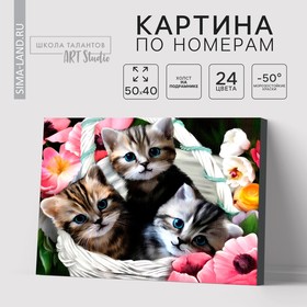 Картина по номерам на холсте с подрамником «Котята» 40х50 см