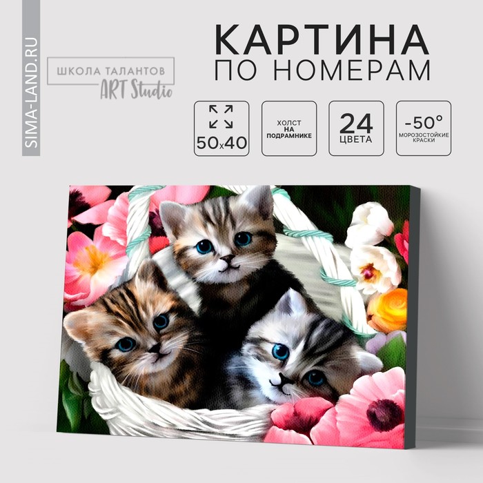

Картина по номерам на холсте с подрамником «Котята», 40 х 50 см
