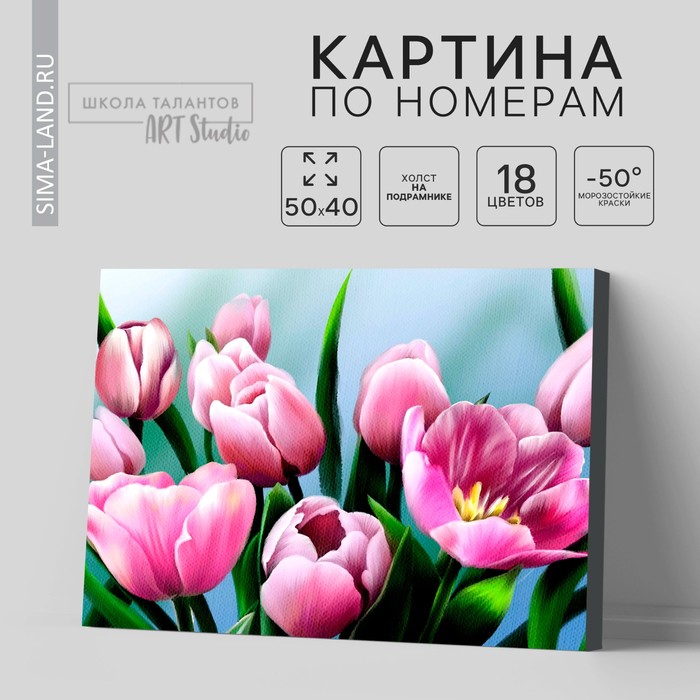 Картина по номерам на холсте с подрамником «Тюльпаны», 40 х 50 см