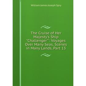 

Книга The Cruise of Her Majesty's Ship Challenger': Voyages Over Many Seas, Scenes in Many Lands, Part 13