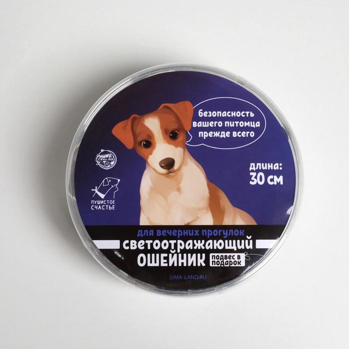 

Ошейник светоотражающий с адресником, 30 х 1 см, капрон, цвет черный