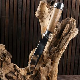 

Нож охотничий «Идальго» Н29, ст. ЭИ-107, рукоять дюраль, орех, 25 см 6343926