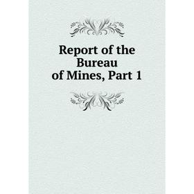 

Книга Report of the Bureau of Mines, Part 1