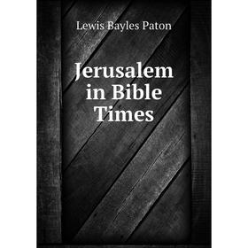 

Книга Jerusalem in Bible Times