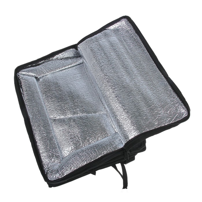 Органайзер универсальный на спинку сиденья, 50х32 см , с термоотделением