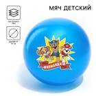 Мяч детский Paw Patrol "Команда", 16 см, 50 гр, цвета МИКС