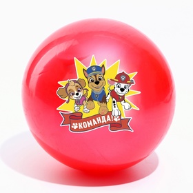 Мяч детский, Paw Patrol Команда, диаметр 16 см, 50 г., цвета МИКС Ош