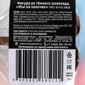 

Шоколад фигурный «Усы на палочке», темный, 15 г