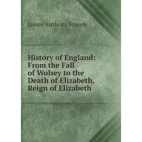 

Книга History of England: From the Fall of Wolsey to the Death of Elizabeth, Reign of Elizabeth