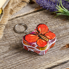 Бабочка Бабочка