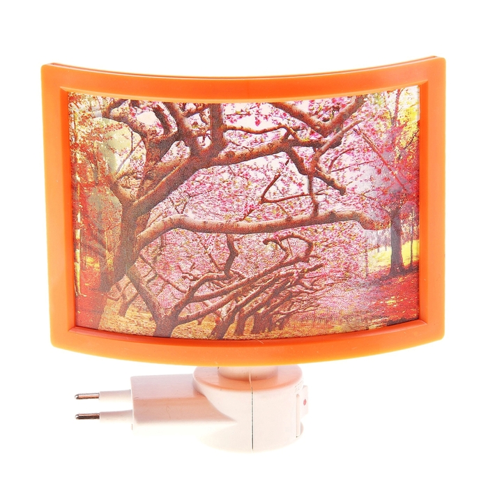 Ночник "Осенний лес" МИКС