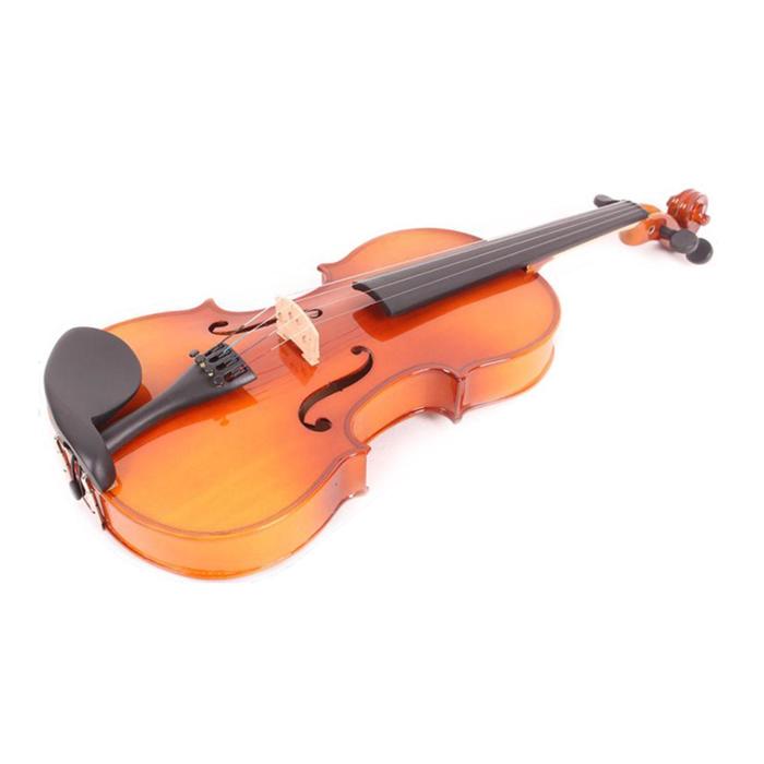 Скрипка Mirra VB-310-1/2 1/2 в футляре со смычком скрипка hora skr100 4 4 student студенческая в футляре с смычком