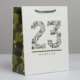 Пакет подарочный ламинированный вертикальный, упаковка, «23 февраля», MS 18 х 23 х 10 см