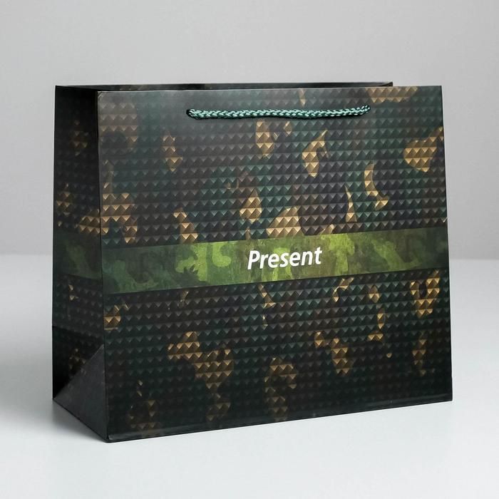 Пакет подарочный ламинированный горизонтальный, упаковка, «Present», ML 27 х 23 х 11,5 см