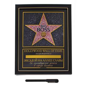 

УЦЕНКА Диплом звезда в рамке Big Boss, пластик 20,5 х 28 см