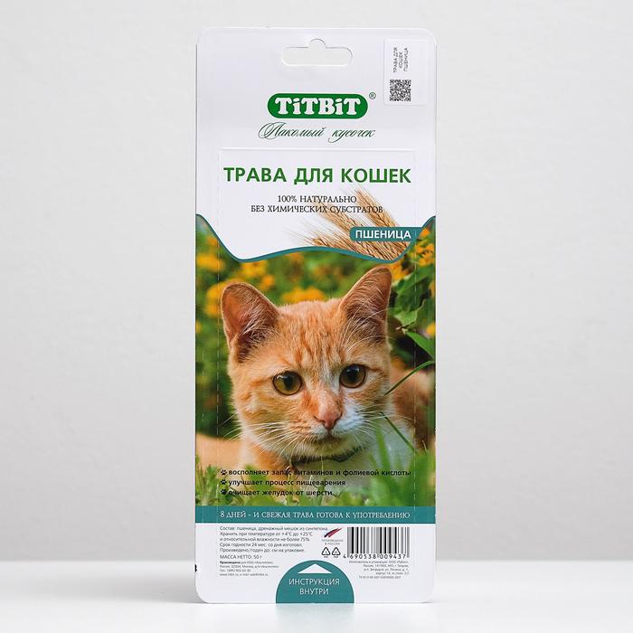 Трава TiTBiT для кошек, пшеница, 50 г трава titbit для кошек пшеница 50 г