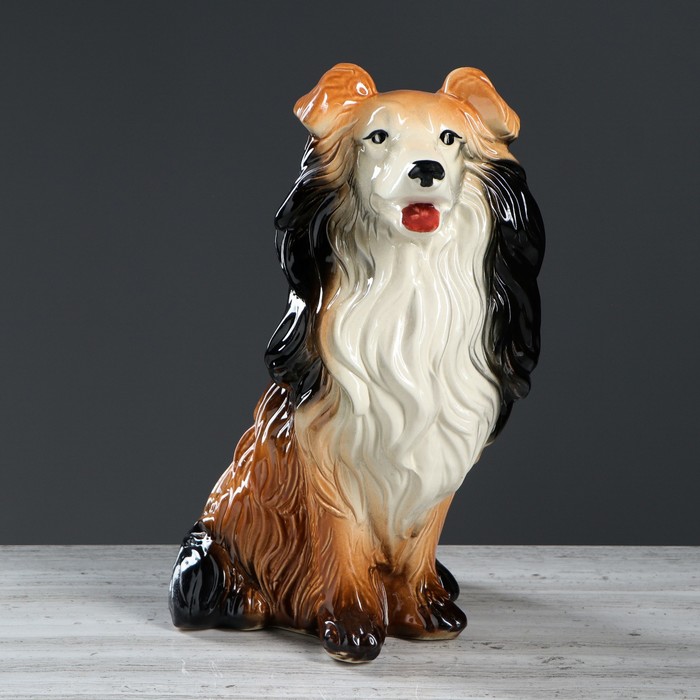 Копилка "Колли Боб"