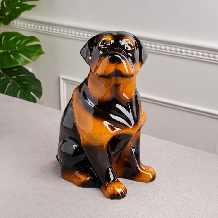 Копилка "Собака ротвейлер", чёрный цвет, глянец, 35 см