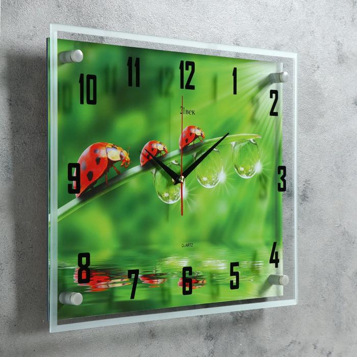 Часы настенные прямоугольные "Божьи коровки", 35х45 см