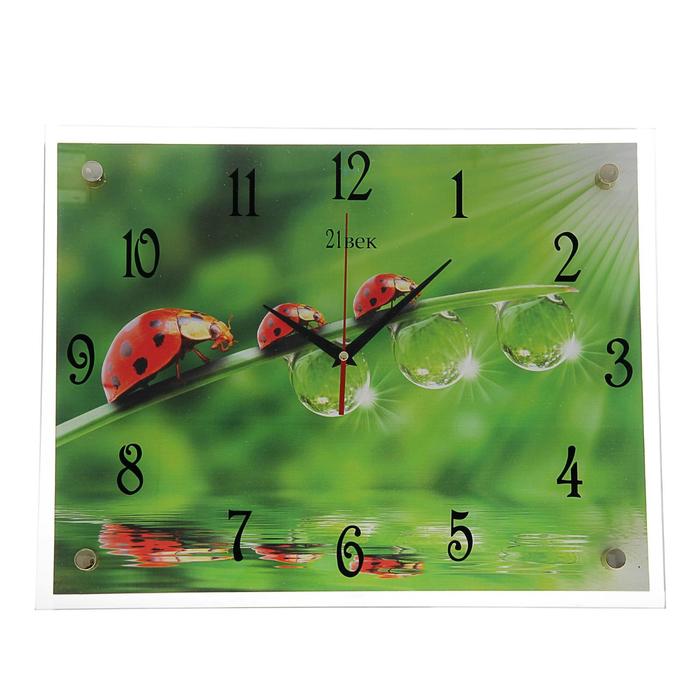 Часы настенные прямоугольные "Божьи коровки", 35х45 см