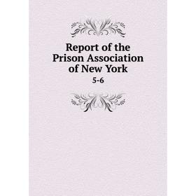 

Книга Report of the Prison Association of New York 5-6