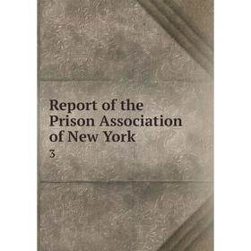 

Книга Report of the Prison Association of New York 3