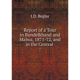 

Книга Report of a Tour in Bundelkhand and Malwa, 1871-72, and in the Central. 7