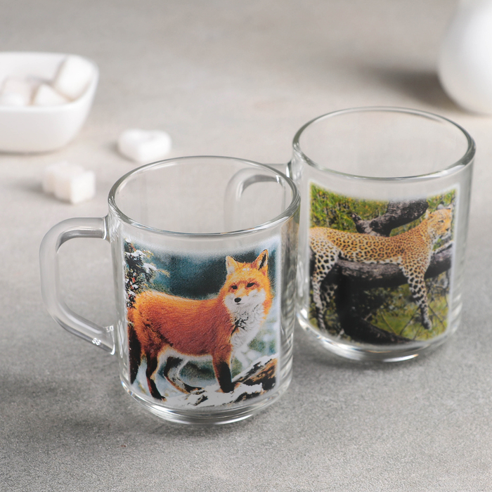 Кружка стеклянная 200 мл "Дикий мир", рисунок МИКС