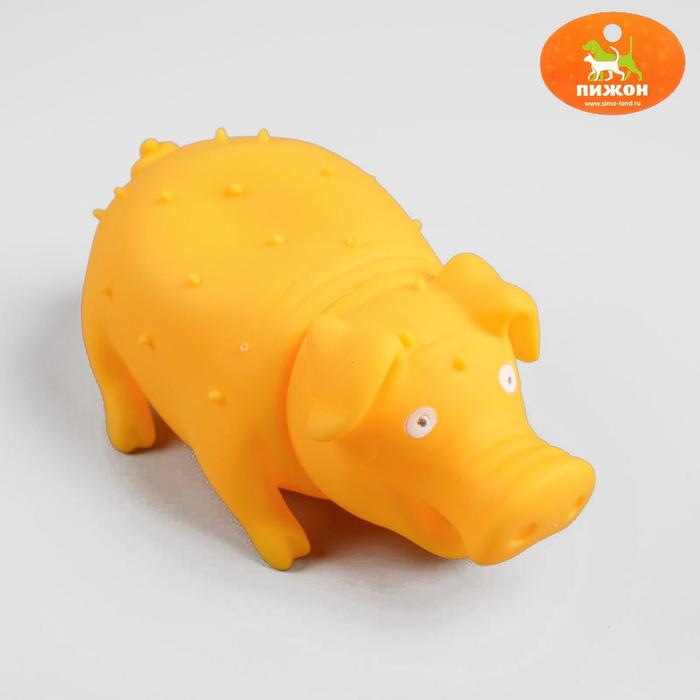 Игрушка резиновая "Веселая свинья", хрюкающая, 19 см, микс цветов