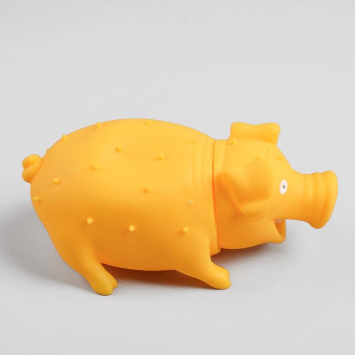 Игрушка резиновая "Веселая свинья", хрюкающая, 19 см, микс цветов