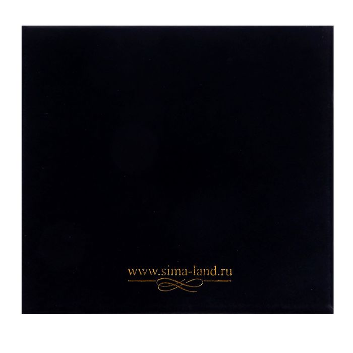 Подкова "На удачу"