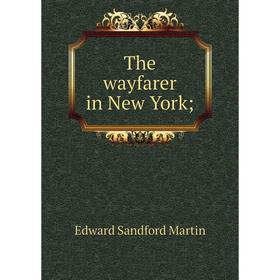 

Книга The wayfarer in New York;