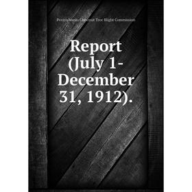 

Книга Report (July 1-December 31, 1912)