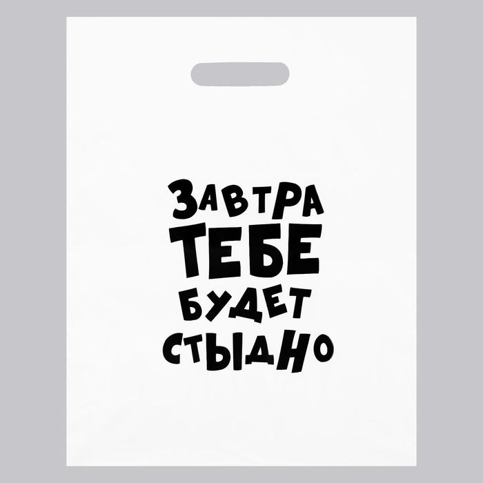 

Пакет с приколами, полиэтиленовый с вырубной ручкой, «Завтра тебе будет стыдно» 31х40 см, 60 мкм