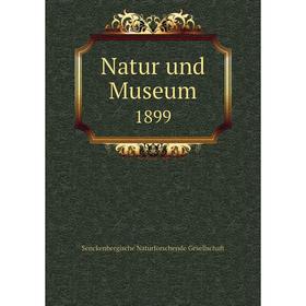 

Книга Natur und Museum 1899