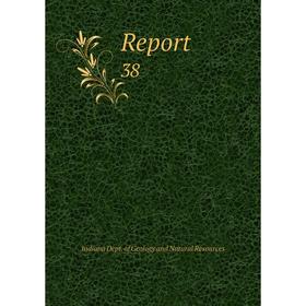 

Книга Report 38