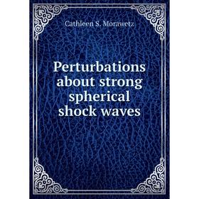 

Книга Perturbations about strong spherical shock waves