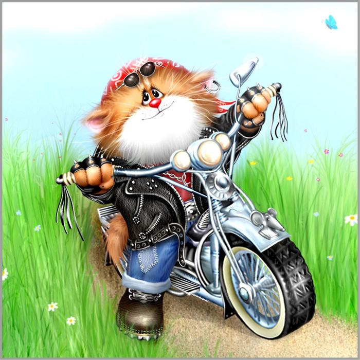 

Алмазная мозаика «Котоциклист» 35×35 см, 41 цветов