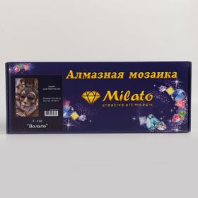 

Алмазная мозаика «Вольто» 35×60 см, 40 цветов