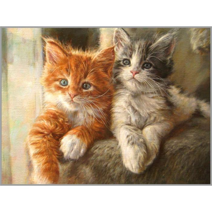 

Алмазная мозаика «Котики-братики» 30×40 см, 35 цветов