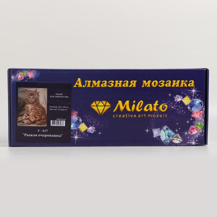 фото Алмазная мозаика «рыжая очаровашка» 30×40 см, 35 цветов milato