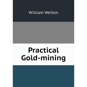 

Книга Practical Gold-mining