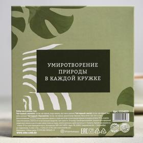 Подарочный набор чая в колбах «Сила природы»: малина, бергамот, мята, 126 г. (3 шт. х 42 г.) от Сима-ленд