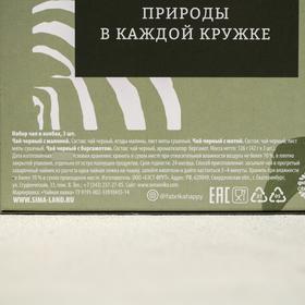 Подарочный набор чая в колбах «Сила природы»: малина, бергамот, мята, 126 г. (3 шт. х 42 г.) от Сима-ленд