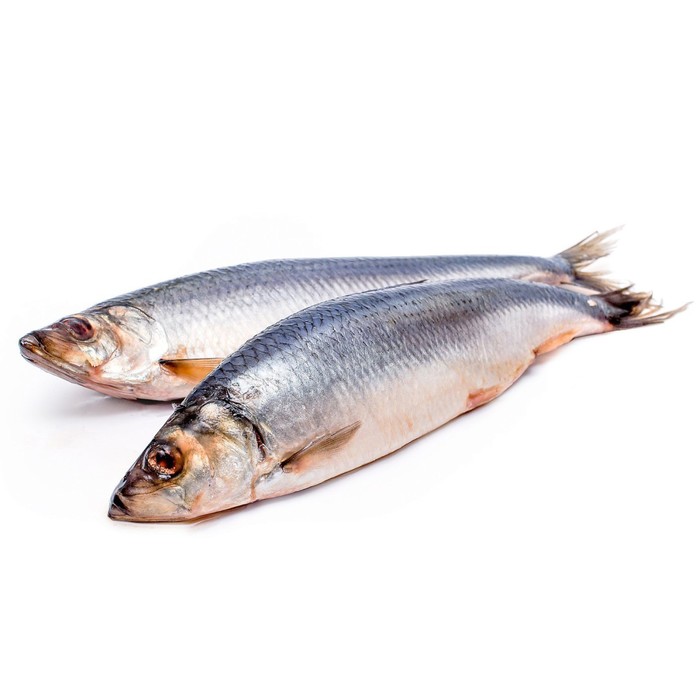 

Сельдь "Олюторская", Тихоокеанская, с/с, 450+, кг