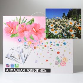 

Алмазная мозаика с подрамником, полное заполнение, 40 × 50 см «Ромашки»