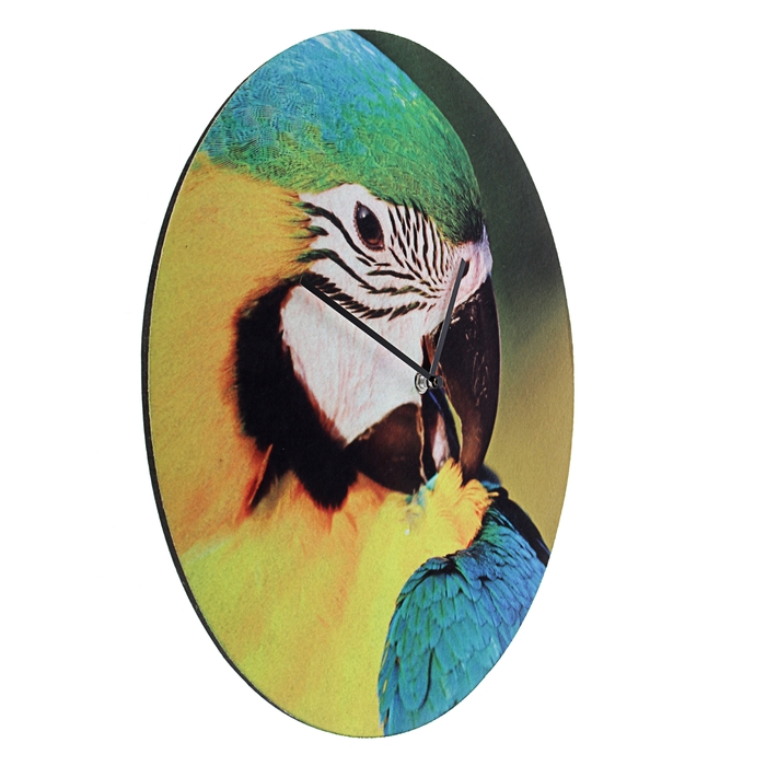 Часы настенные интерьерные "Серия Фетр. Попугай", d=40 см