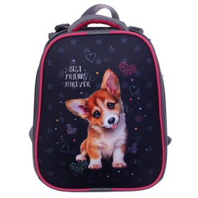 

Рюкзак каркасный Stavia, 38 х 30 х 16 см, эргономичная спинка, "Корги", серый/оранжевый